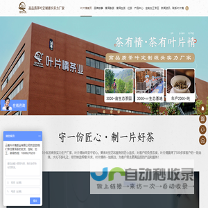 云南普洱茶定制-加工-普洱茶批发供应-云南叶片情普洱茶厂家